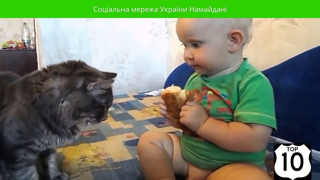 Дуже смішне відео про дітей та тварин - video Dailymotion