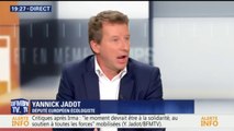 Selon Yannick Jadot, Nicolas Hulot 