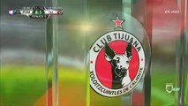 0-1 Gustavo Bou Goal Mexico  Primera Division  Apertura - 10.09.2017 UNAM Pumas 0-1 Club Tijuana