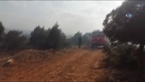 Orman Yangınını Söndürme Çalışmaları Sürüyor