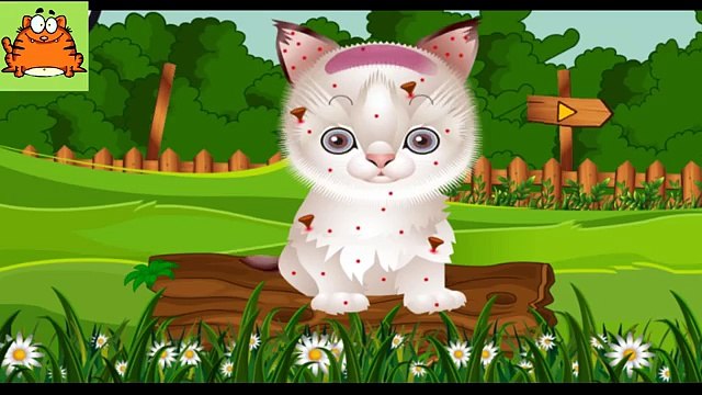 Мультик про лечение собачек! Интересные детские мультфильмы. . Мультик про животных для де