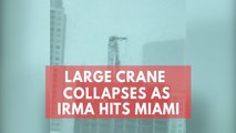 Watch: Large crane collapses as Hurricane Irma hits Miami