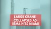 Watch: Large crane collapses as Hurricane Irma hits Miami