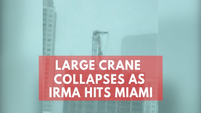 Watch: Large crane collapses as Hurricane Irma hits Miami