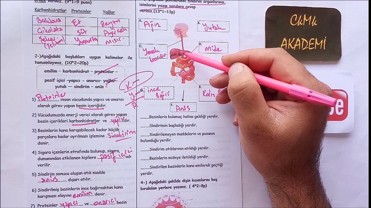 5.Sınıf FEN Bilimleri 1.Dönem 1.Yazılı