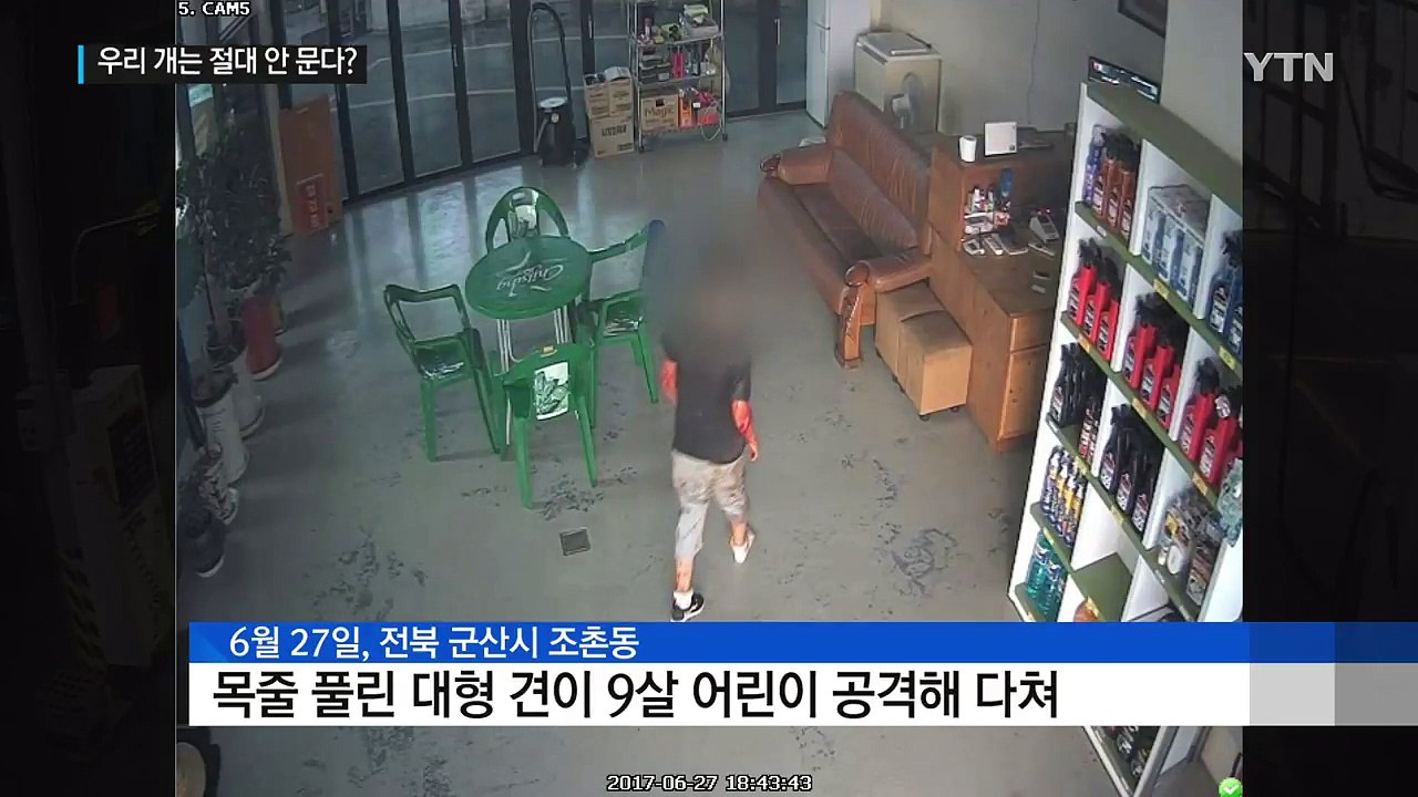 "우리 개는 안 물어요"...주인들의 착각 / YTN