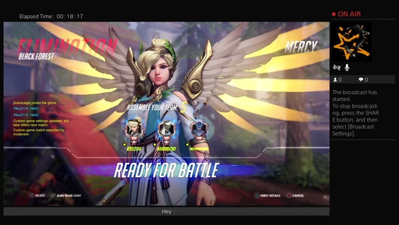 Overwatch (12)