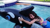 Un et un à un un à à dauphin amusement amusement fille dans est est est enfant tueur en jouant piscine équitation nager Xcaret Cammi hap
