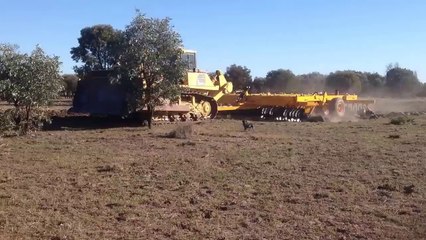 1000 Beygirlik Dozer Goble Çekiyor