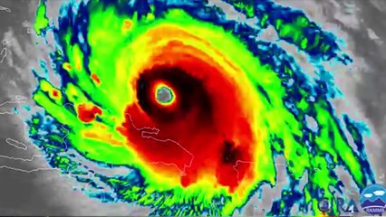 Trump declara el estado de desastre en Florida