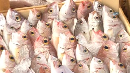 Başkan Kocaoğlu'dan Balıkçıları Ziyaret Etti