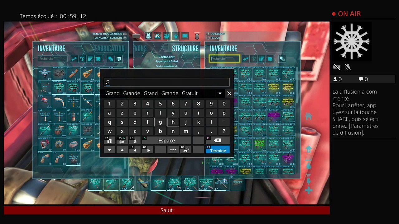 Diffusion PS4 en direct de ludo6425 (87)