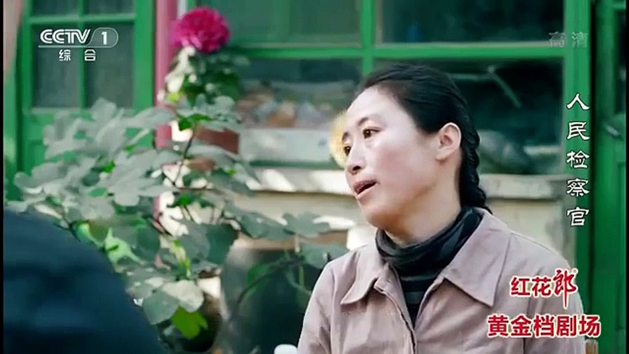 人民检察官13 主演：于震/殷桃/于荣光/黄海冰