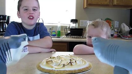 Mystery of the Shark and the Pie. What Shark Toy Ate it?