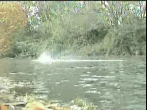 Kingcat 2X speed 400 4.8V, lipo 2S