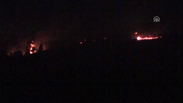 Domaniç İlçesinde Başlayan Orman Yangını, Bozüyük'e Doğru İlerliyor (2)