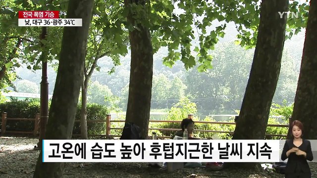 계속된 찜통더위엔 나무 그늘이 최고 / YTN