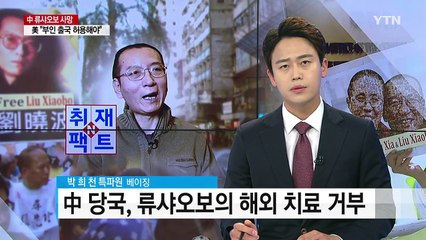 [취재N팩트] '중국 민주화의 별' 류샤오보 타계 / YTN