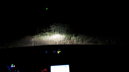 Starry Vlog: SOMETHINGS OUT THERE!!!!