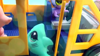 Film de de partie animal de compagnie enregistré école siège séries requins Boutique vidéo Lps littlest 8 cookieswir