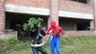 MKTD  POWER RANGERS & SPIDERMAN  PHIM HOẠT HÌNH SIÊU NHÂN 2017