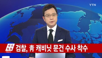 [속보] 검찰, 靑 캐비닛 문건 수사 착수 / YTN