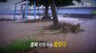 [영상] 22년 만의 '기록적 폭우'...피해 복구에 총력 / YTN