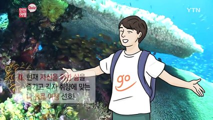 '나홀로 여행족' 대상 범죄 급증 / YTN