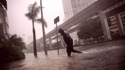 Three deaths as Hurrican Irma batters Florida