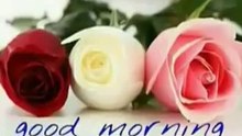 Good morning