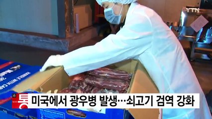 미국에서 광우병 발생...미국산 쇠고기 검역 강화 / YTN