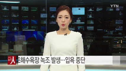 부산 다대포해수욕장 녹조 발생...입욕 중단 / YTN