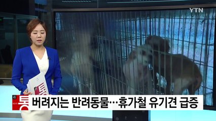 '돌아온 유기의 계절' 반려동물 잔혹사 / YTN