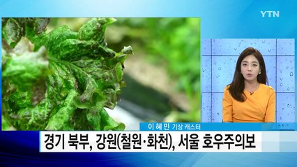 [날씨] 강원 영서·경기 북부 100mm↑ 집중호우...남부 폭염 / YTN