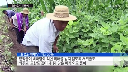 엎친데 덮친 北, 가뭄 이어 수해 우려 / YTN