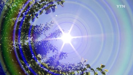 [날씨] 덥다 했더니...올여름 사상 두 번째 폭염 / YTN