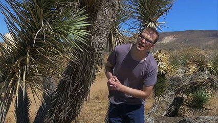 Gold Play Button vs .50 Cal