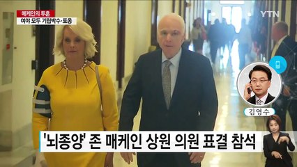 [취재N팩트] '뇌종양' 매케인의 투표와 반성 그리고 기립박수 / YTN