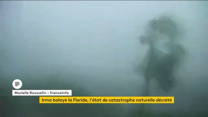 "L'objectif ça reste la prise du pouvoir dans ce pays", Adrien Quatennens (FI)