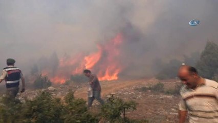Kütahya'daki Orman Yangını Kontrol Altına Alındı