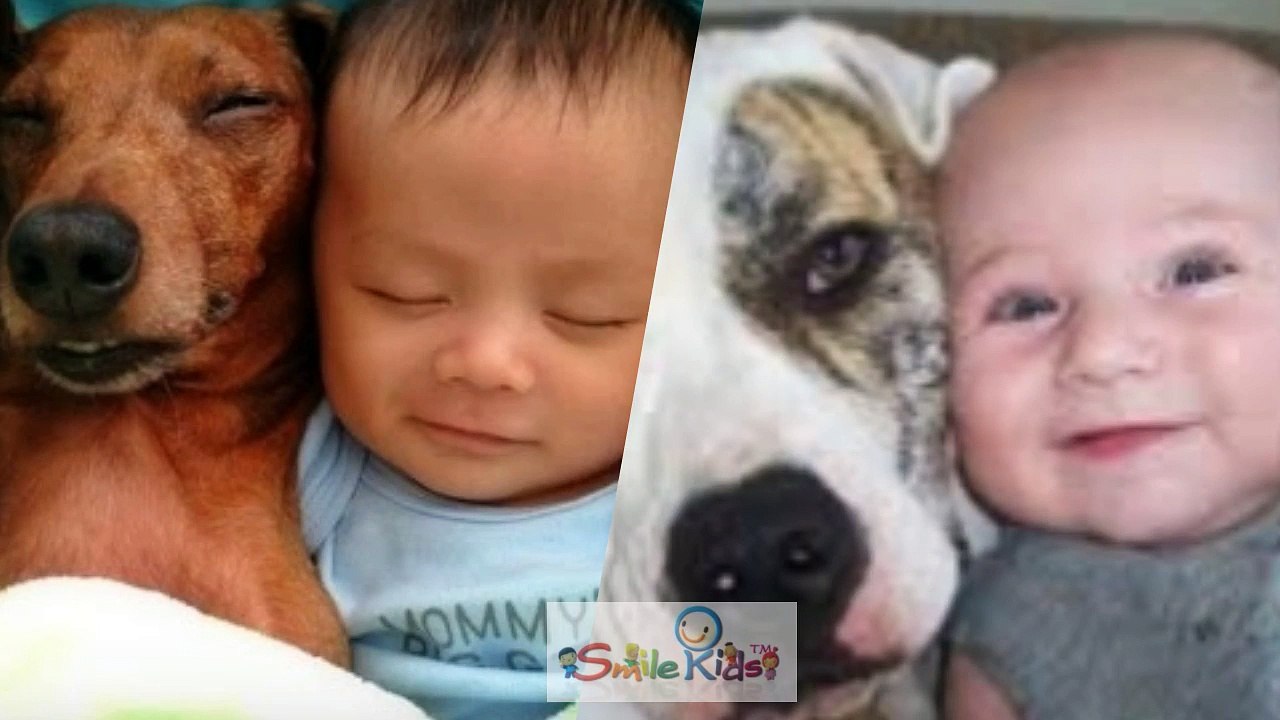 Puppy and Baby