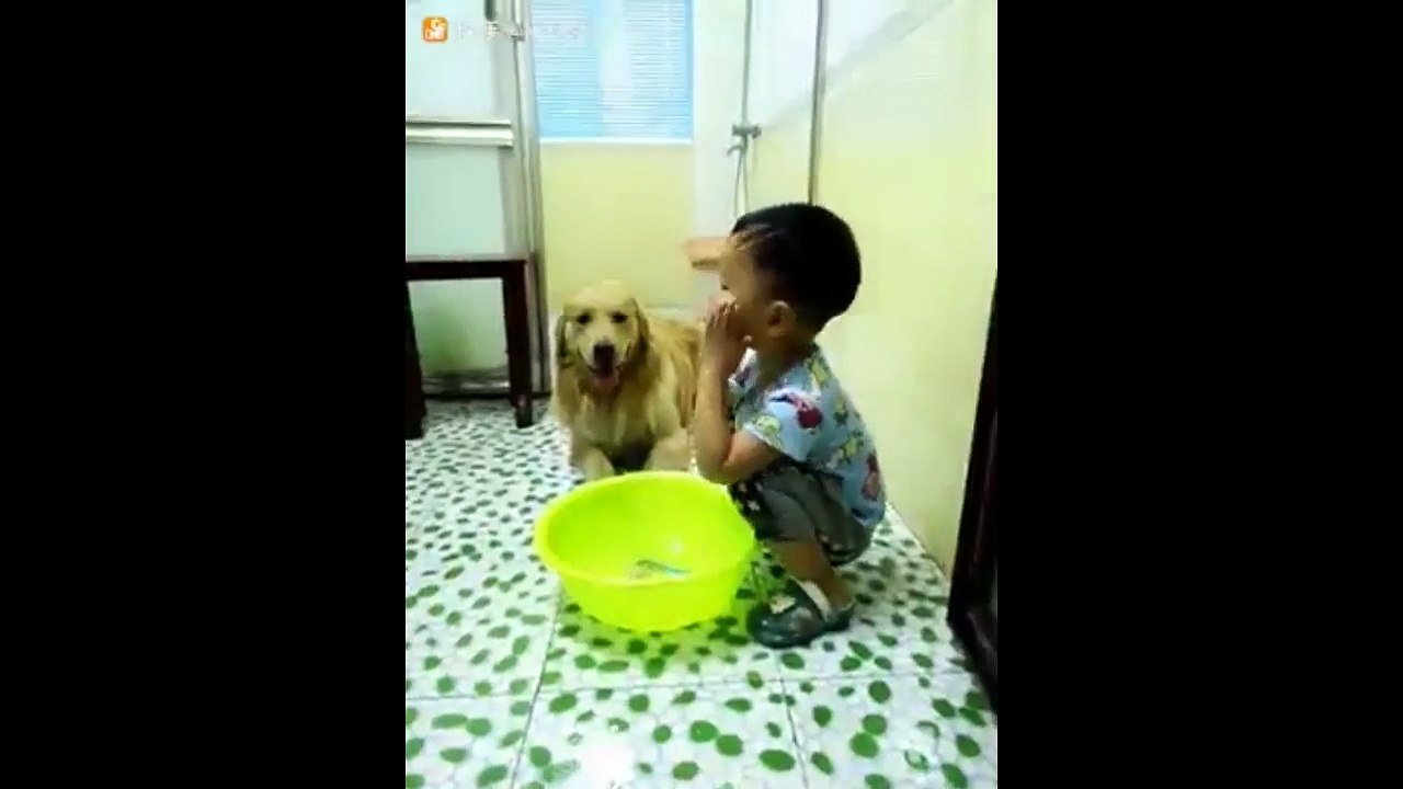 Puppy take towel to baby