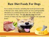 Raw Diet Foods for Dogs