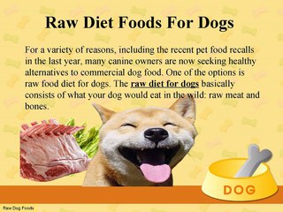 Raw Diet Foods for Dogs