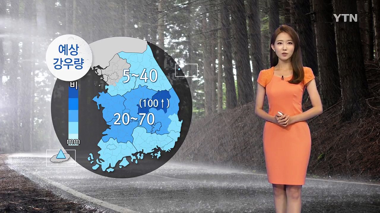 [날씨] 전국 곳곳 장맛비...밤사이 국지성 호우 주의 / YTN