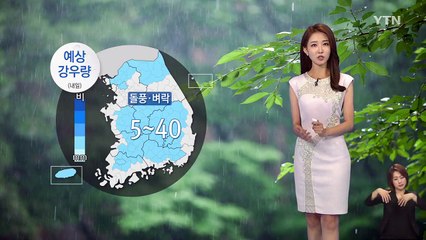 [날씨] 본격적인 휴가철...내일도 곳곳에 비 / YTN