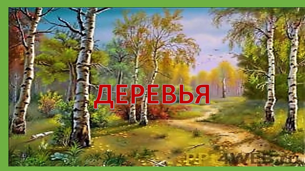 Презентация для детей. Виды деревьев для дошкольников