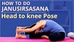 How To Do Head To Knee Pose | JANU SIRSASANA FOR BEGINNERS | Simple Yoga Lessons | YOGA VIDEO