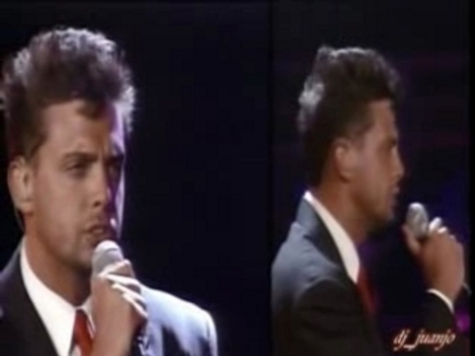 Luis miguel - hasta que me olvides_el concierto y viña94