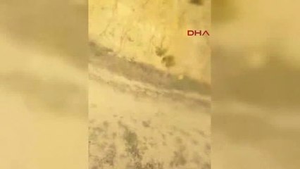 Sakarya Geyve'de Orman Yangını